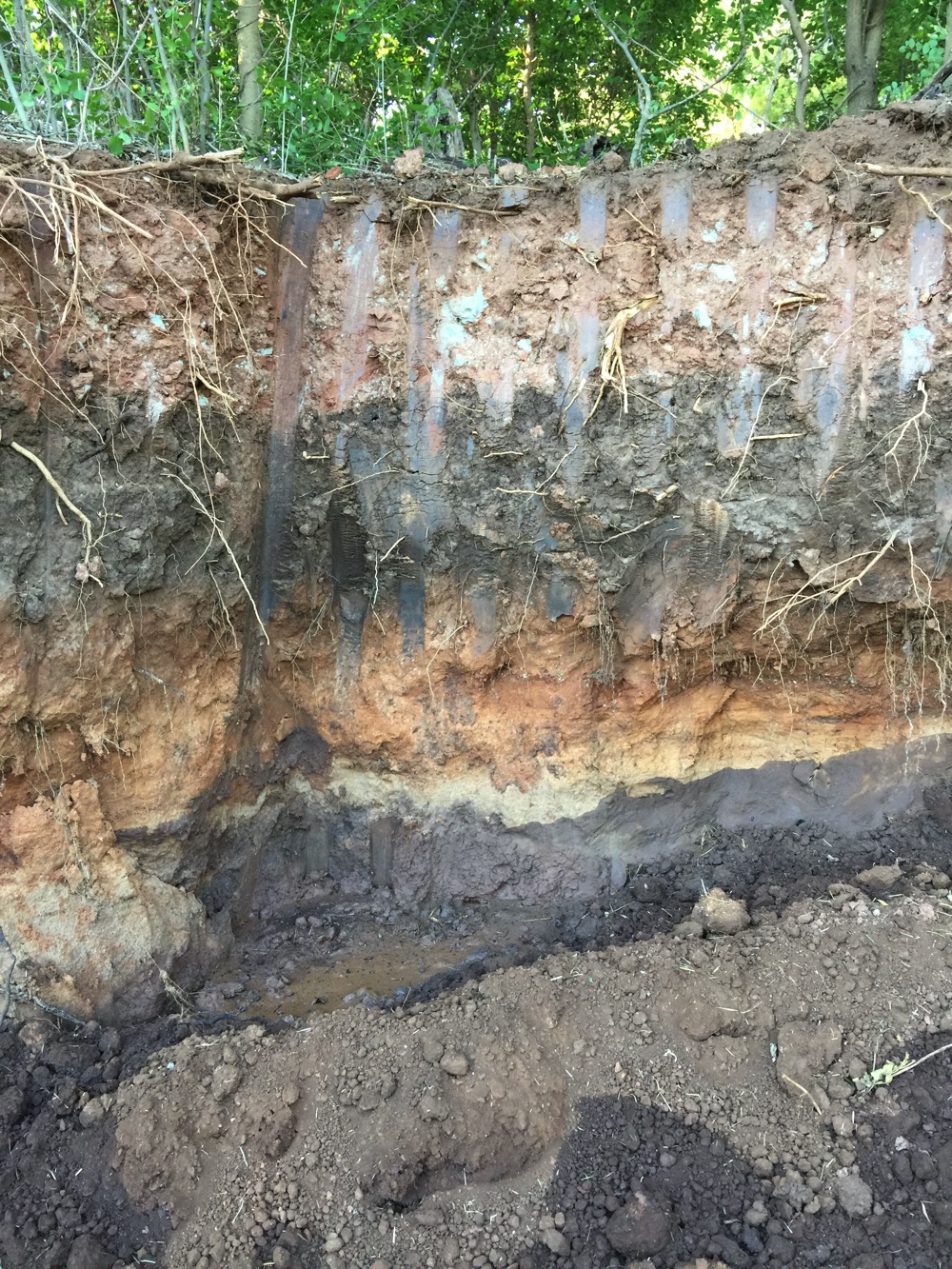 Site Investigation Soil Layers